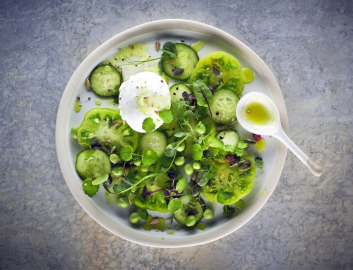 Salade micro pousses