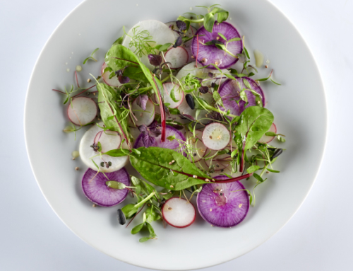 Salade colorée de radis et jeunes pousses